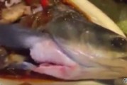 广州市越秀区餐馆“僵尸鱼zombie fish”吓坏人