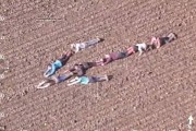 英国8名机灵小孩农地排出箭头指引警方直升机抓贼