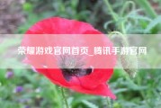 荣耀游戏官网首页_腾讯手游官网
