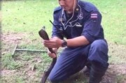 泰国消防员徒手“收服”眼镜蛇