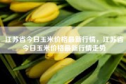 江苏省今日玉米价格最新行情，江苏省今日玉米价格最新行情走势