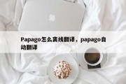 Papago怎么离线翻译，papago自动翻译