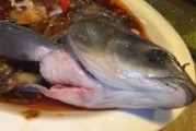 广州餐馆一条煮熟的鱼仍在动？