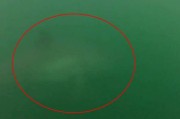 澳洲滑浪手遇上大白鲨 拍下惊险逃命实录