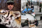 俄罗斯纳霍德卡酷爱打猎商人猎杀濒危西伯利亚虎 被罚逾百万