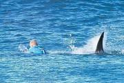 经常发生鲨鱼袭击泳客事件 澳大利亚新南威尔士决定用无人机“追踪”鲨鱼
