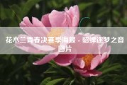 花木兰青春决赛季海报 - 貂蝉逐梦之音图片