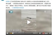 三峡大坝神秘水怪视频画面曝光，外形似蛇身长数十米
