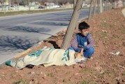 叙利亚8岁小难民在土耳其路旁轻轻安抚车祸狗狗直到救援团体到来