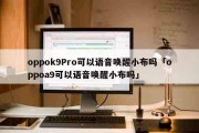 oppok9Pro可以语音唤醒小布吗「oppoa9可以语音唤醒小布吗」