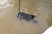 马来西亚渔夫为捕虾与家人分享独自泛舟出河遭鳄鱼咬死