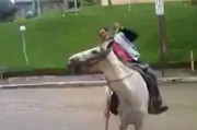 搞笑视频“醉汉骑马”在网上引发网友疯狂转载