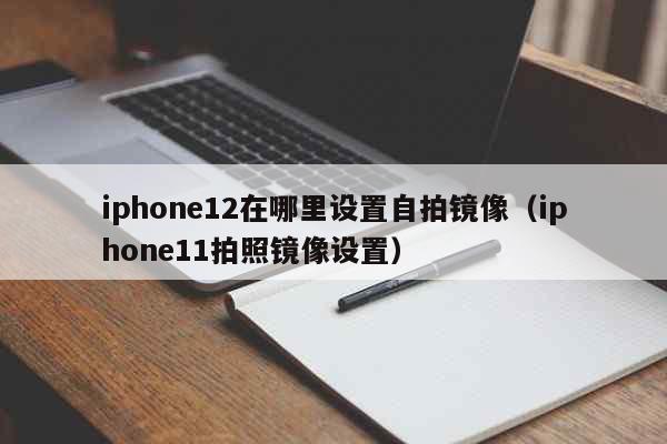 iphone12在哪里设置自拍镜像（iphone11拍照镜像设置） 科普