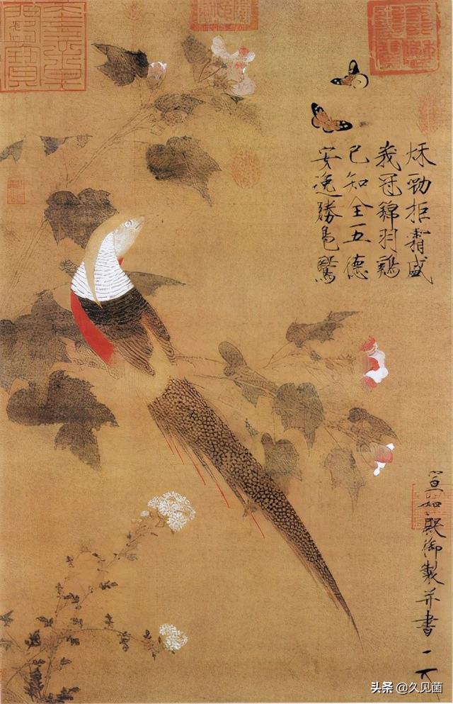 中国国鸟 中国国鸟（中国国鸟是啥鸟） 动物