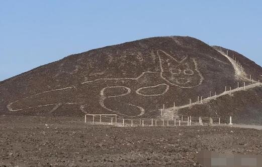 秘鲁发现巨猫图画纳斯卡线条 长37米有2000年历史