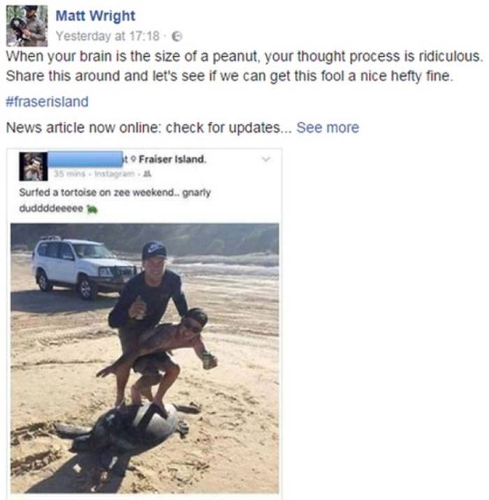 澳洲昆士兰省弗雷泽岛两名男游客在沙滩踩在海龟背上假装滑浪