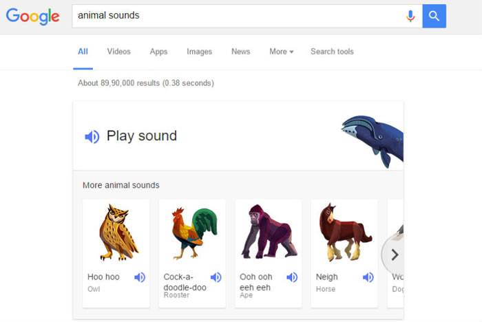 Google隐藏的新功能：只要输入animal noises、animal sounds就能听到动物叫声