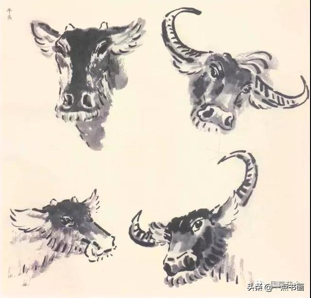 如何画牛 如何画牛（如何画牛简笔画步骤） 科普