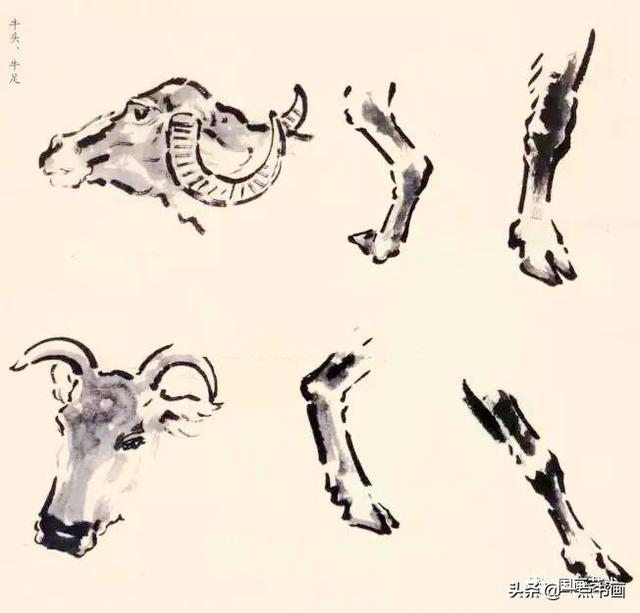 如何画牛 如何画牛（如何画牛简笔画步骤） 科普