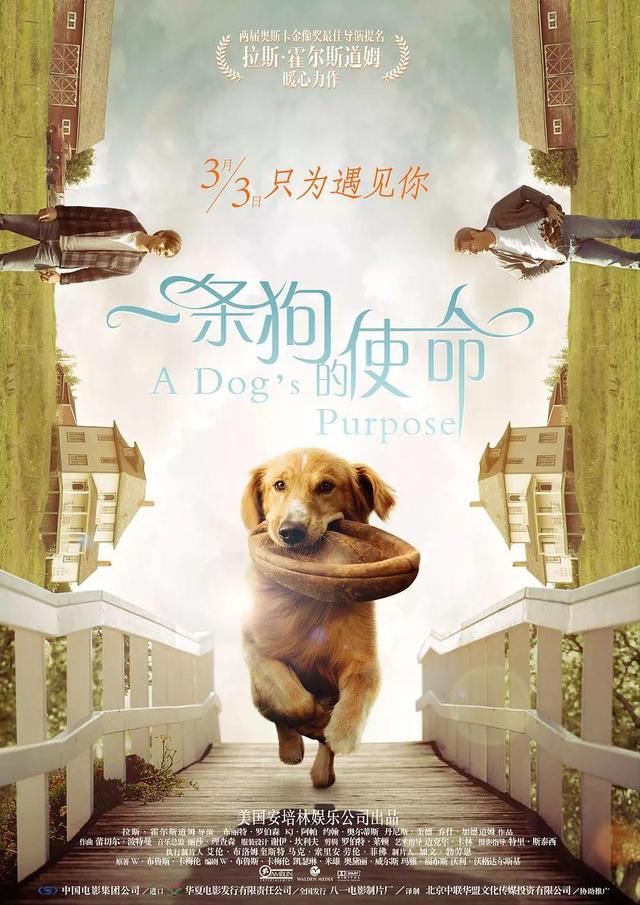 与狗有关的电影 与狗有关的电影（日本与狗有关的电影） 动物