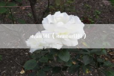 steam101（steamurl101）